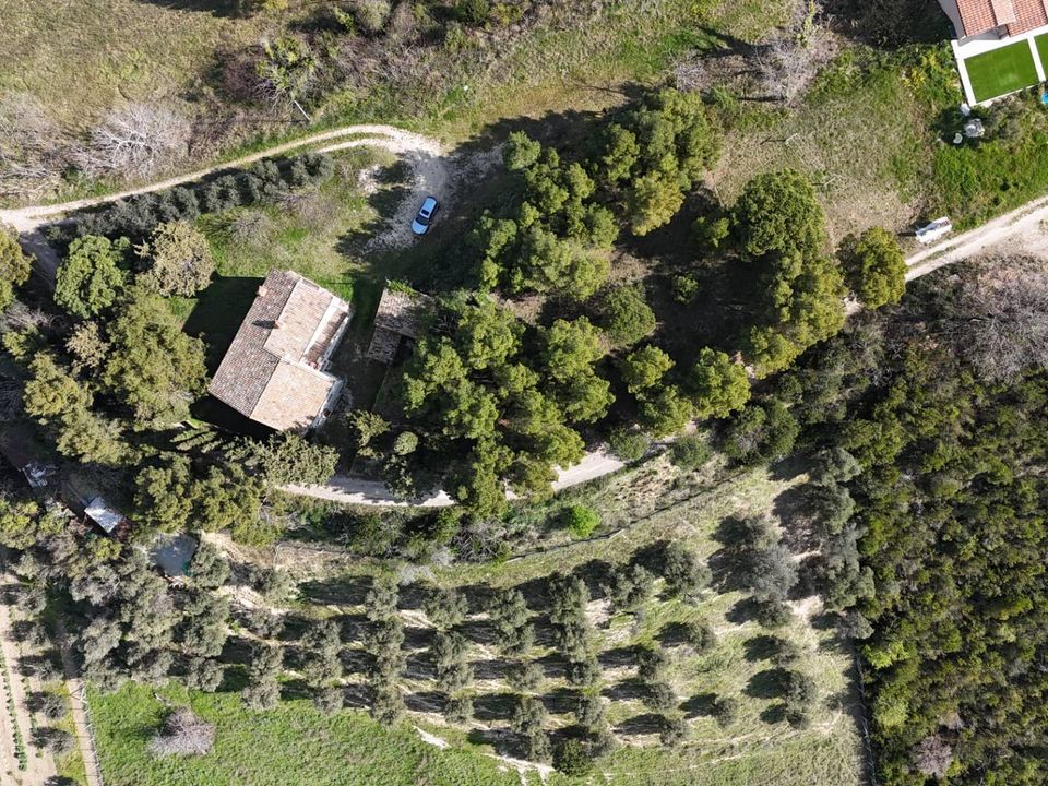 Landejendom i Acquaviva Picena, Ascoli Piceno - foto 2