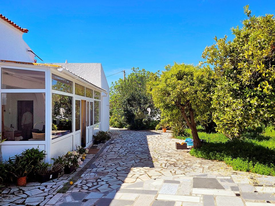 Farm hus i Armacao de Pera, Faro - foto 3