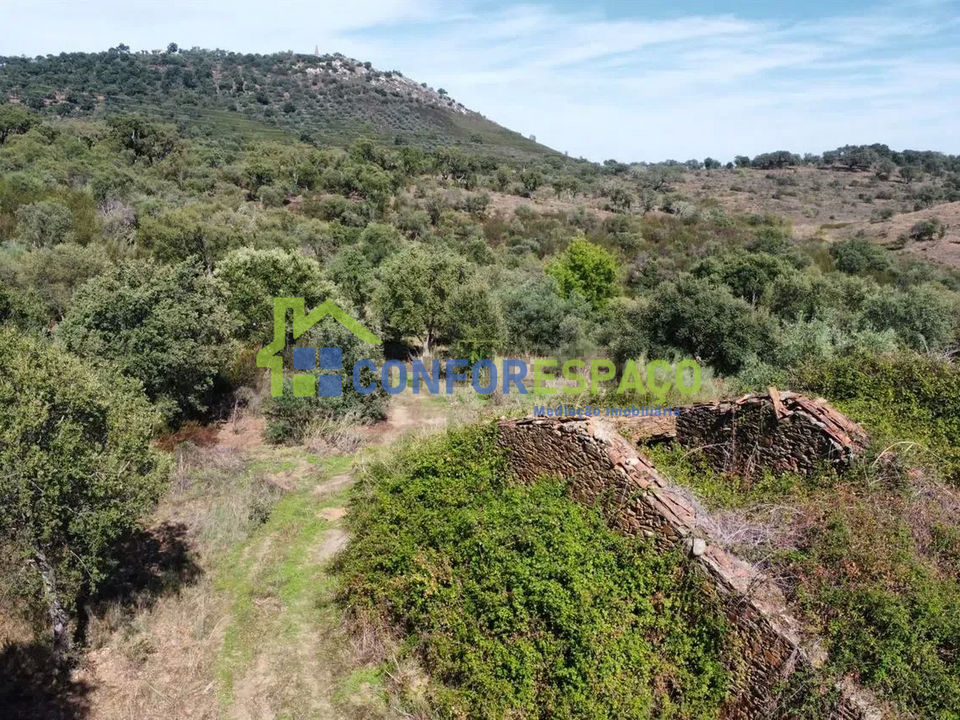 Landejendom i Castelo Branco, Castelo Branco - foto 2