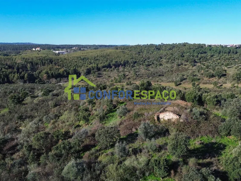 Landejendom i Castelo Branco, Castelo Branco - foto 4