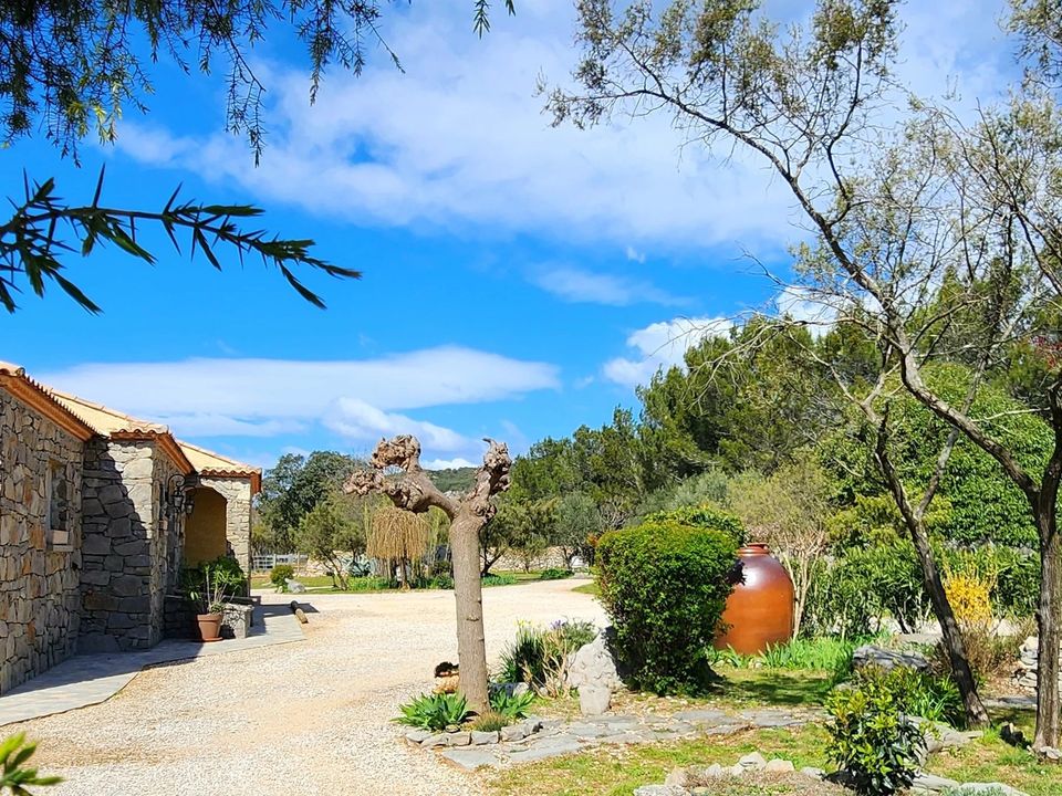 Masia a Cazevieille, Herault - foto 3