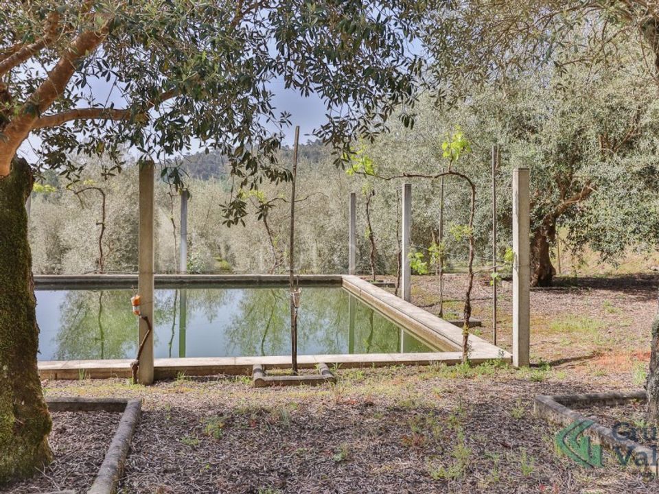 Farm i Amarante, Porto - foto 2