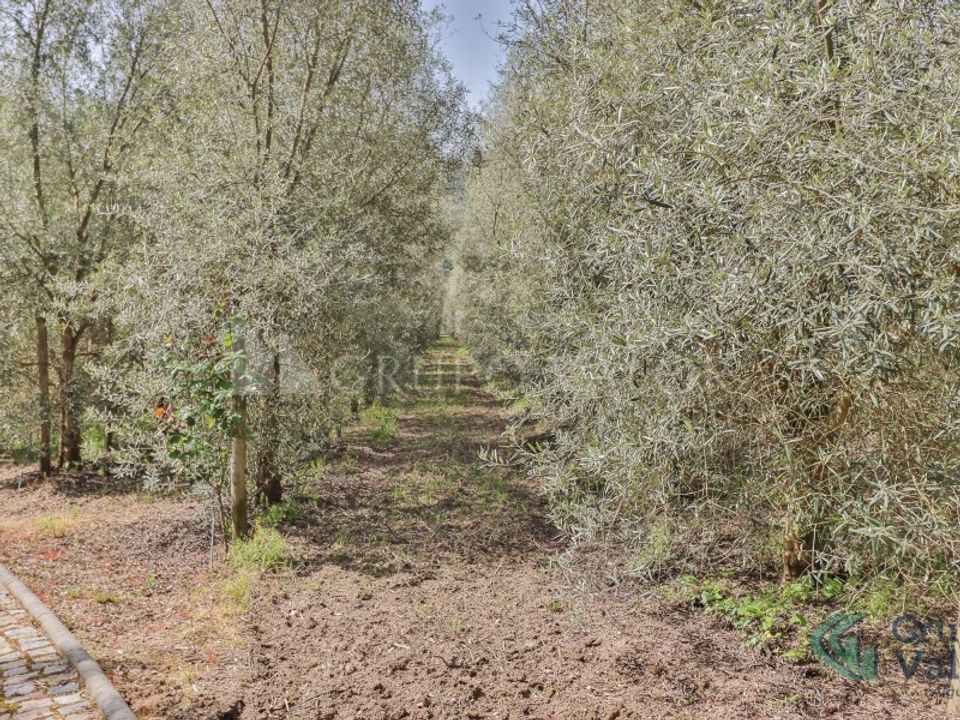 Farm i Amarante, Porto - foto 5
