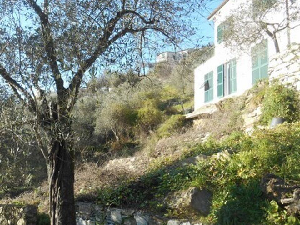 Villa in Leivi, Genoa - foto 1