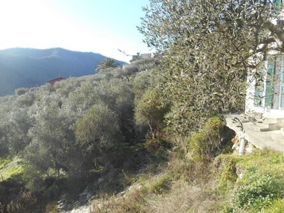 Villa in Leivi, Genoa - foto 5