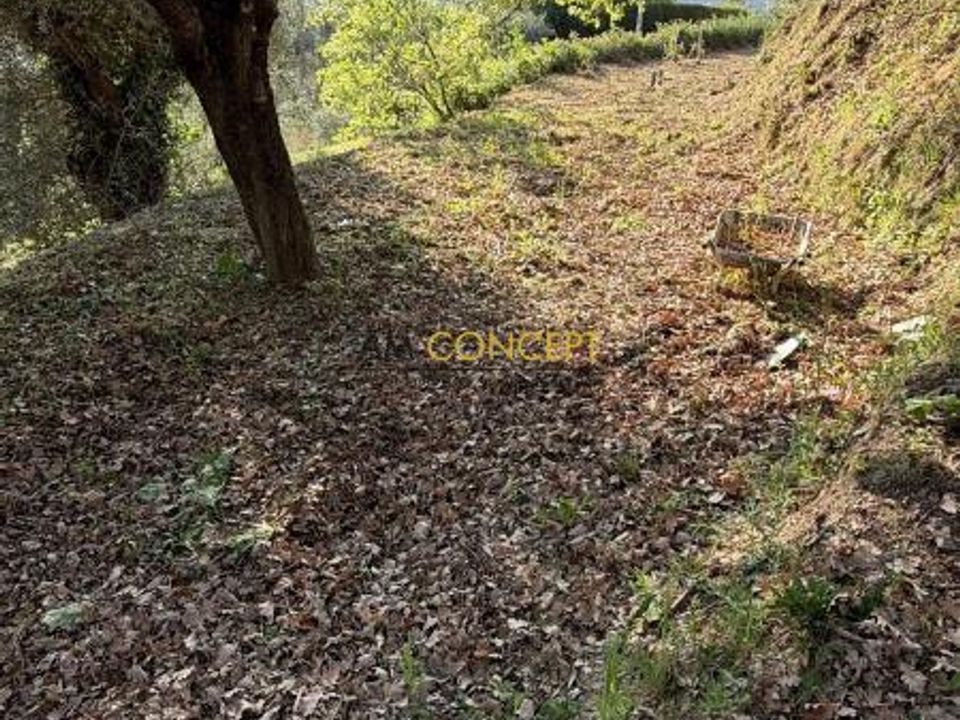 Helårsgrund i Contes, Alpes-Maritimes - foto 3