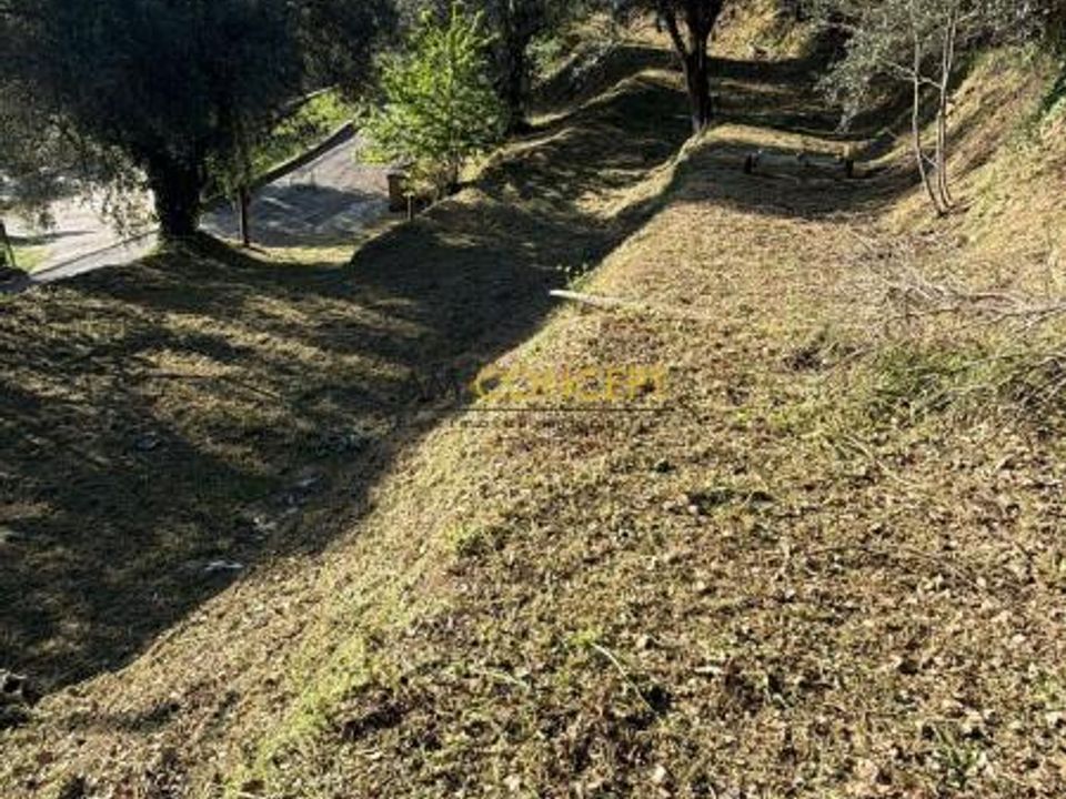 Helårsgrund i Contes, Alpes-Maritimes - foto 4