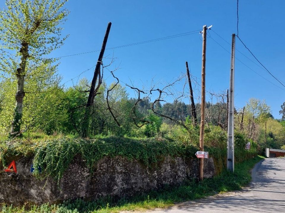 Helårsgrund i Vieira do Minho, Braga - foto 2