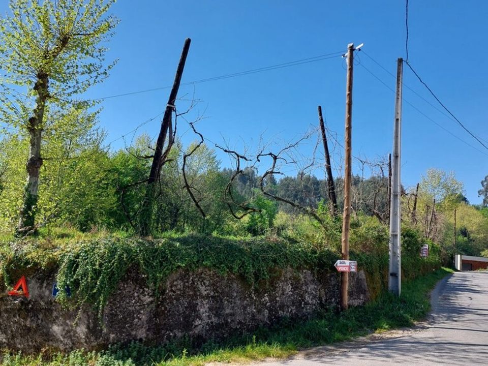 Byhus i Vieira do Minho, Braga - foto 2