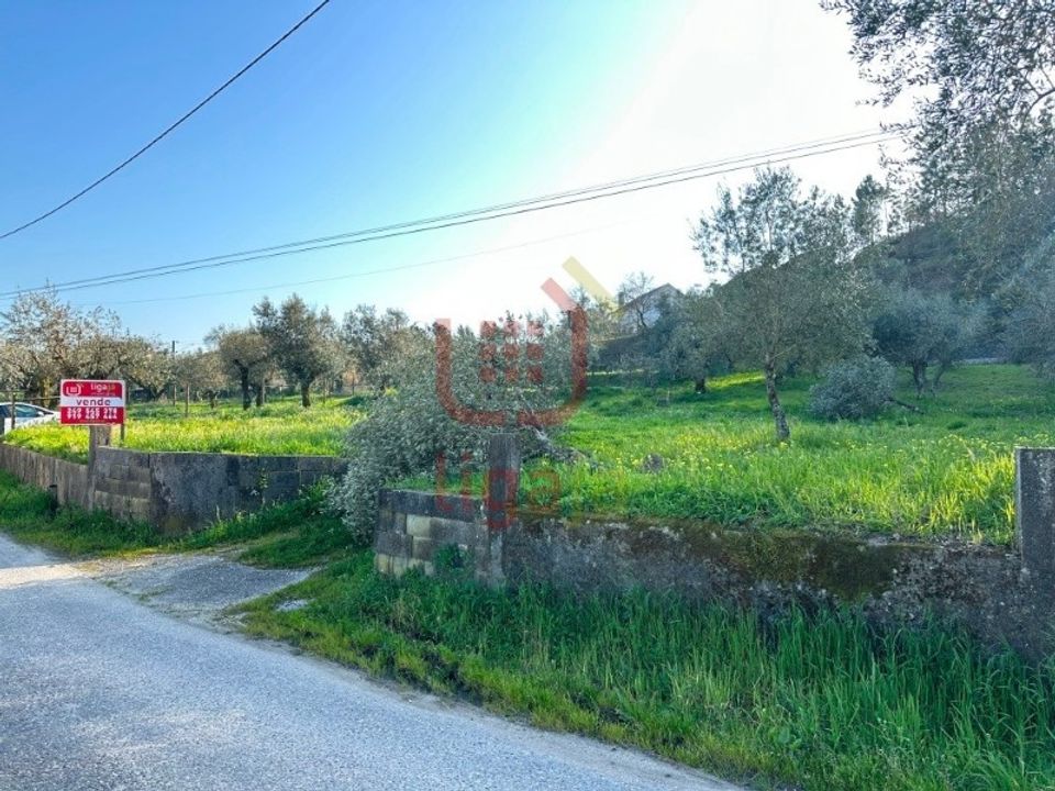 Helårsgrund i Ourem, Santarem - foto 1