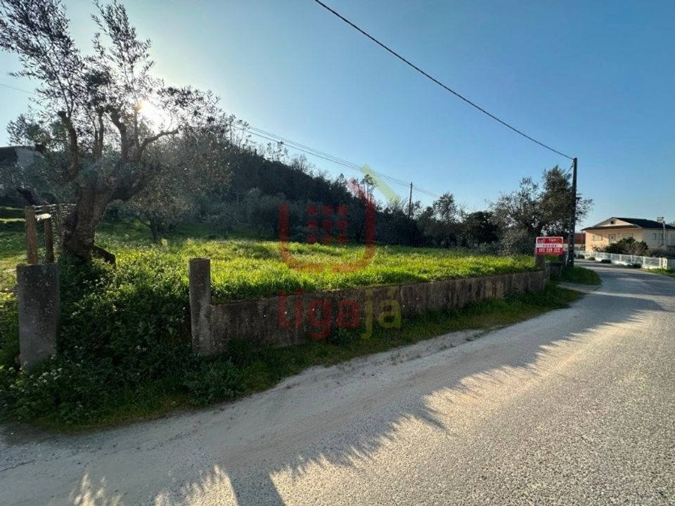 Helårsgrund i Ourem, Santarem - foto 2