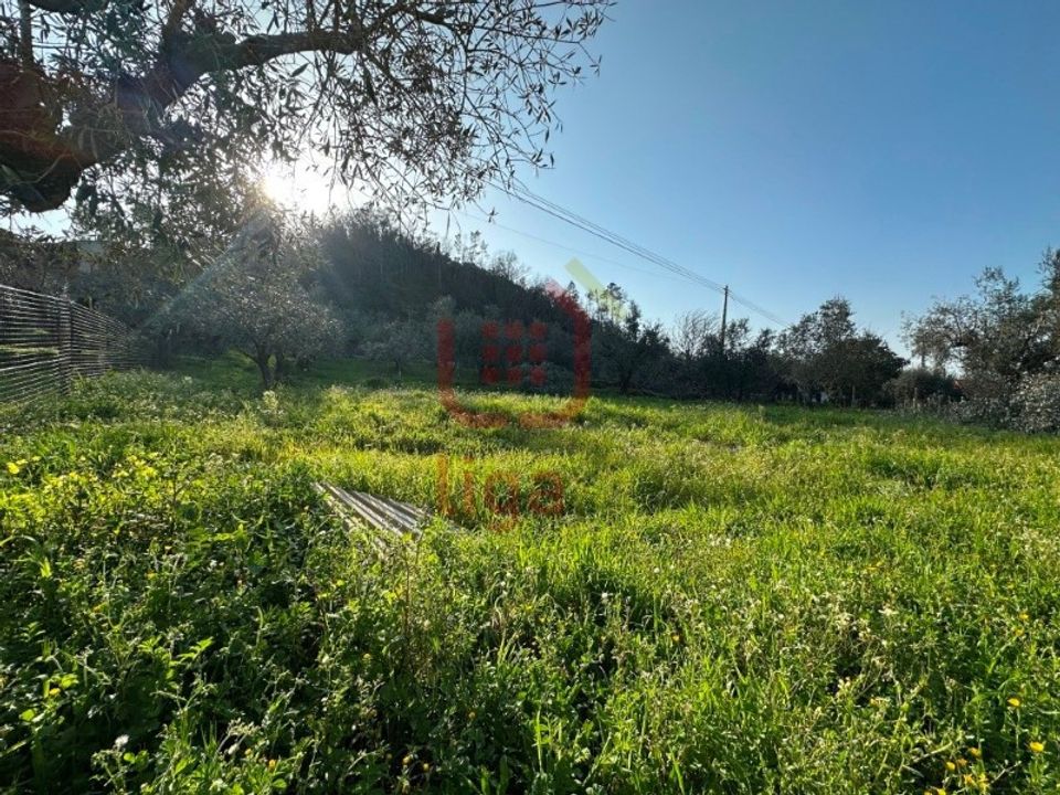 Helårsgrund i Ourem, Santarem - foto 3
