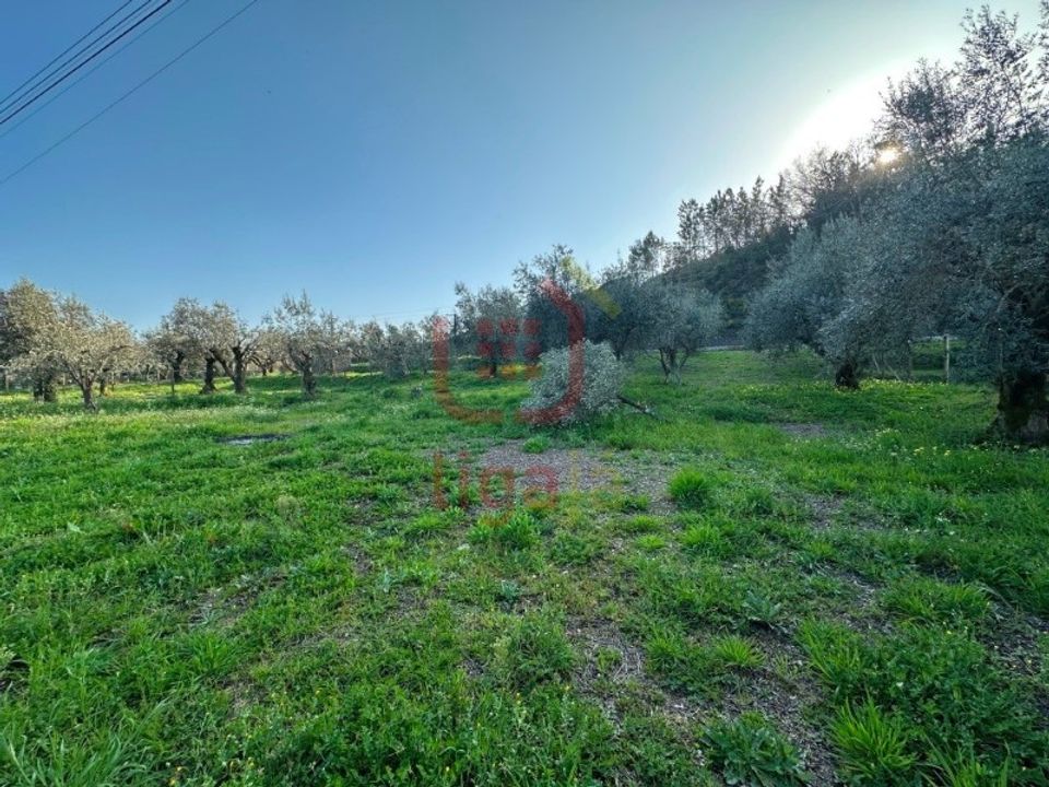 Helårsgrund i Ourem, Santarem - foto 4