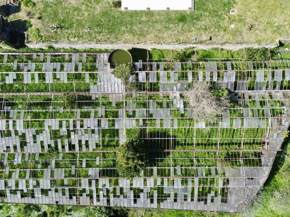 Villa i Apricale, Imperia - foto 4