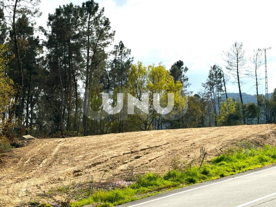 Helårsgrund i Vouzela, Viseu - foto 1