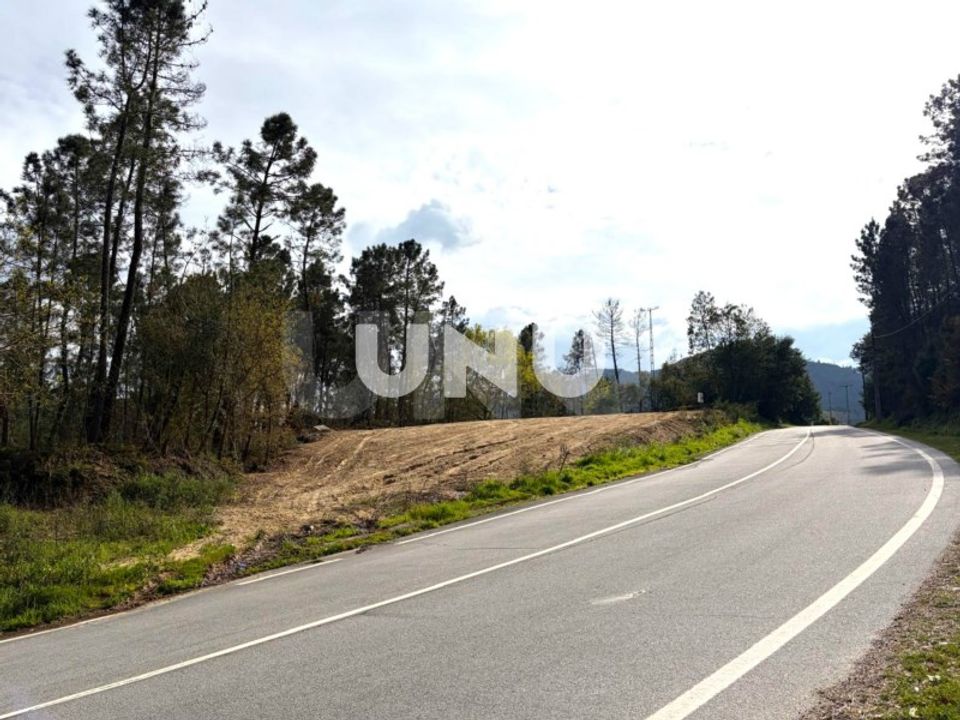 Helårsgrund i Vouzela, Viseu - foto 2