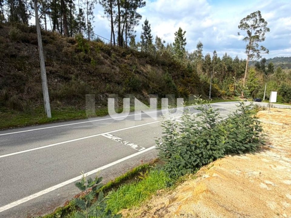 Helårsgrund i Vouzela, Viseu - foto 3