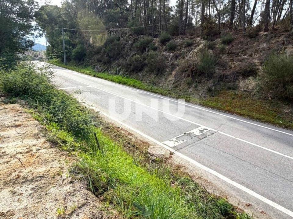 Helårsgrund i Vouzela, Viseu - foto 4