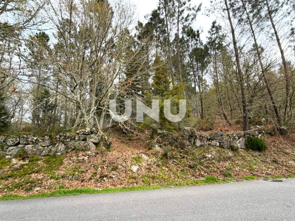 Helårsgrund i Vouzela, Viseu - foto 3