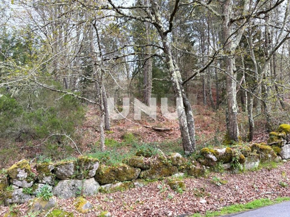 Helårsgrund i Vouzela, Viseu - foto 4