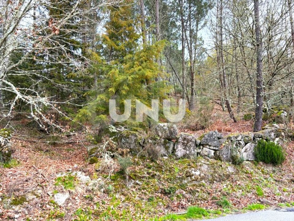 Helårsgrund i Vouzela, Viseu - foto 5