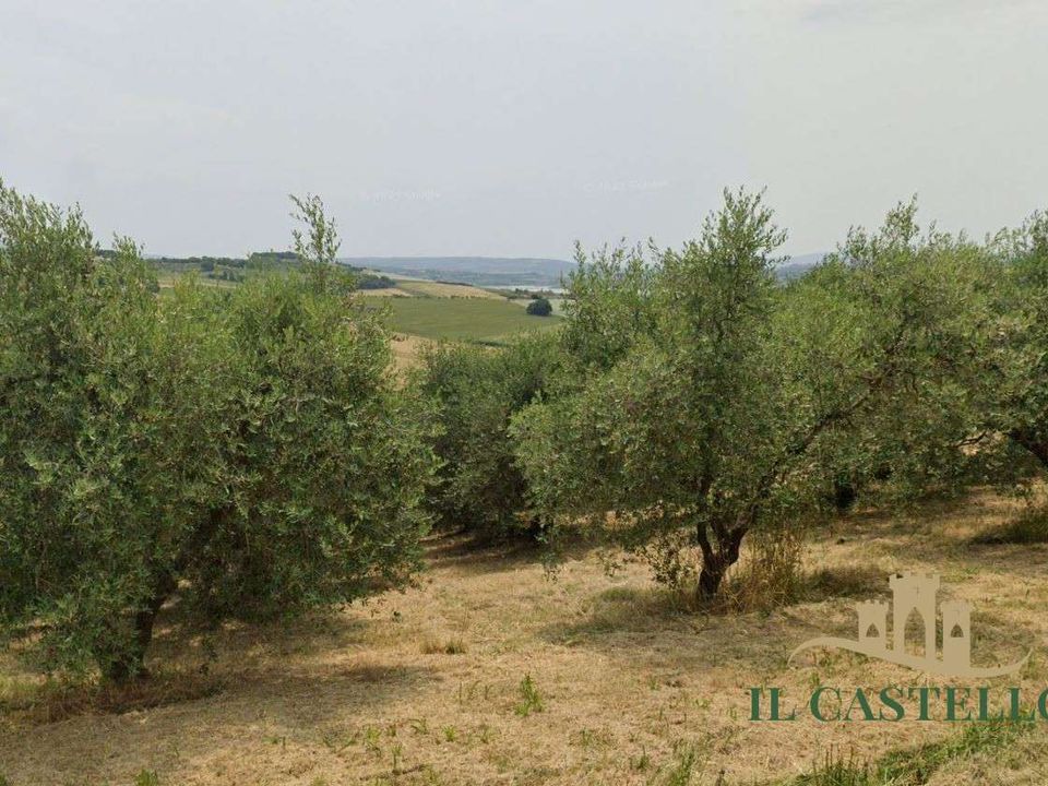 Villa i Castiglione del Lago, Perugia - foto 4