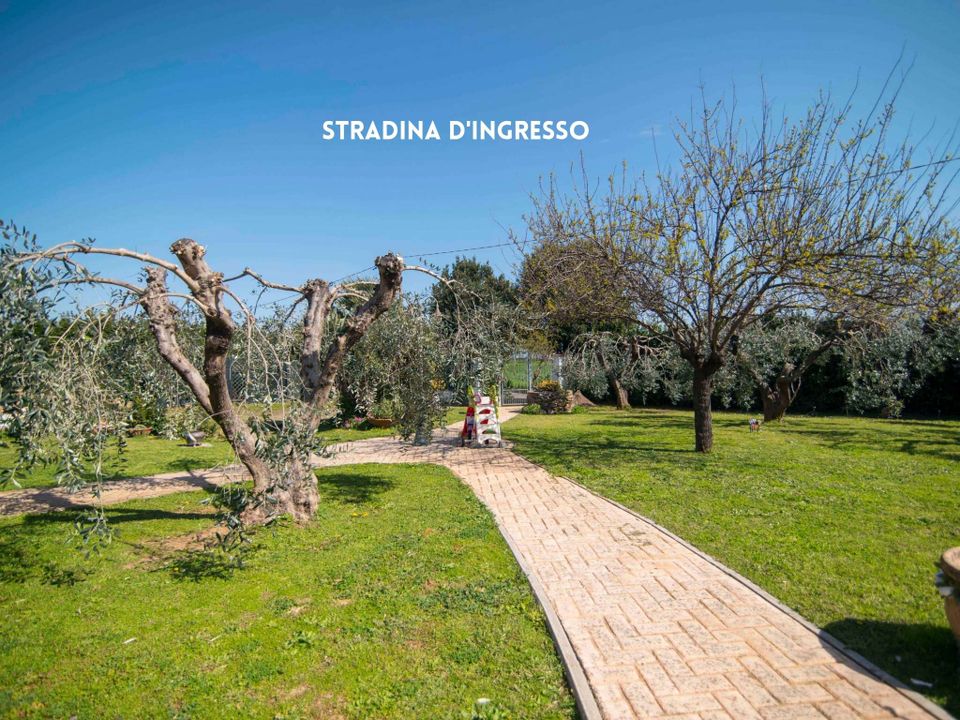 Villa i Montemassi, Grosseto - foto 5