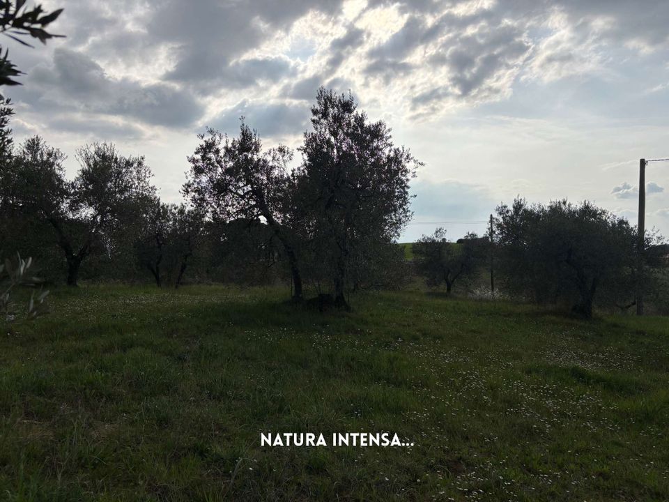 Villa i Roccastrada, Grosseto - foto 2