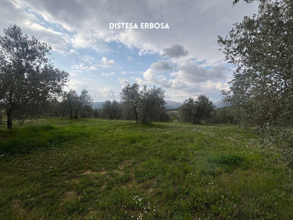 Villa i Roccastrada, Grosseto - foto 4