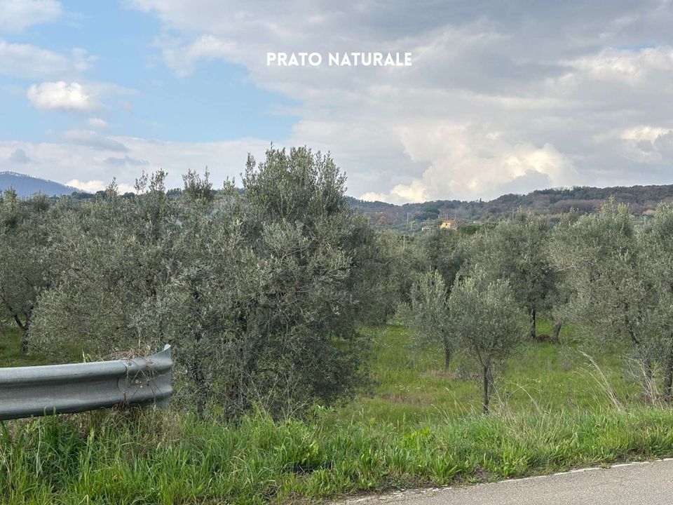 Villa i Roccastrada, Grosseto - foto 5