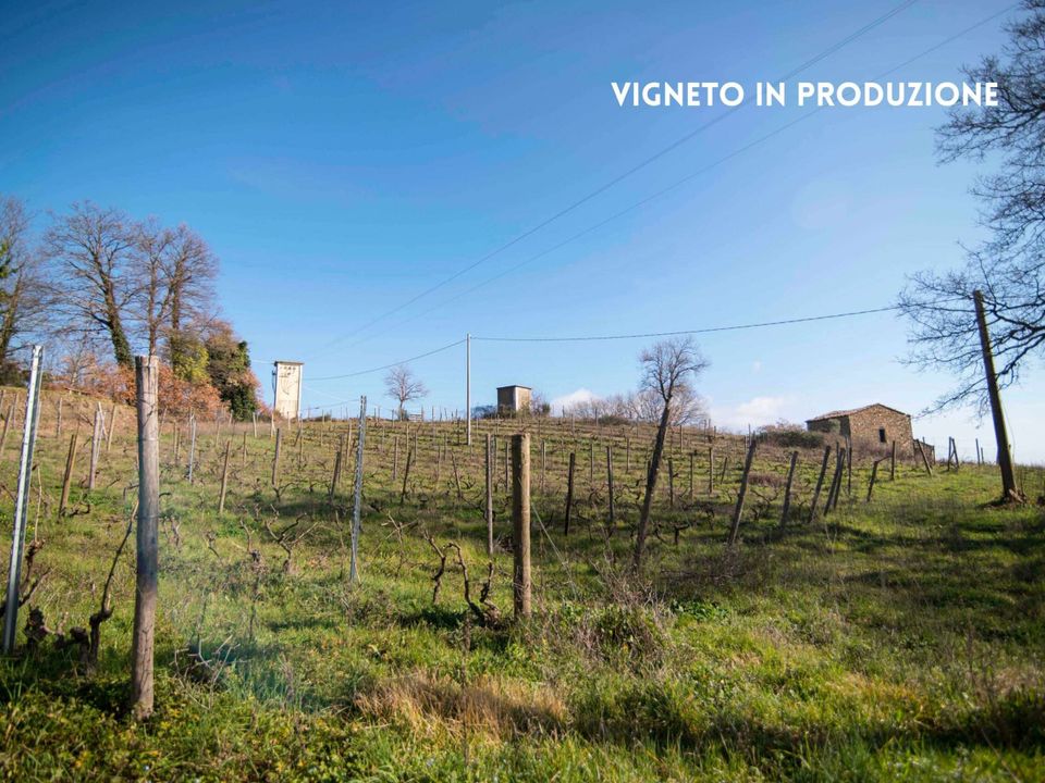 Willa: Roccatederighi, Grosseto – zdjęcie 3