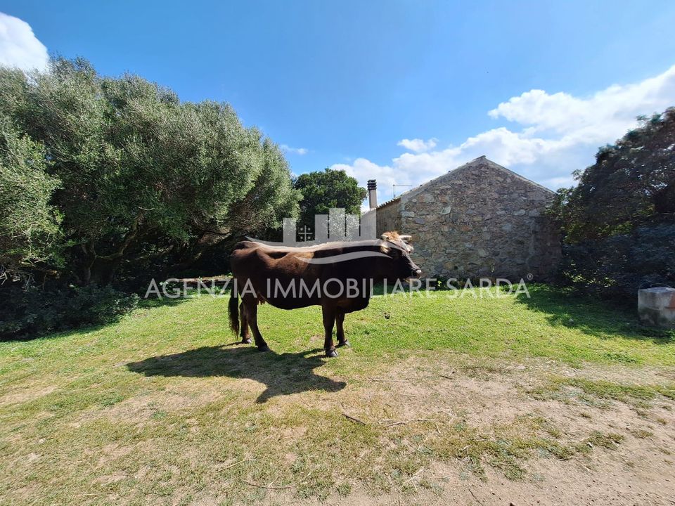Villa i Aglientu, Sassari - foto 3