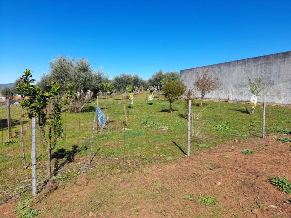 Helårsgrund i Alandroal, Evora - foto 3