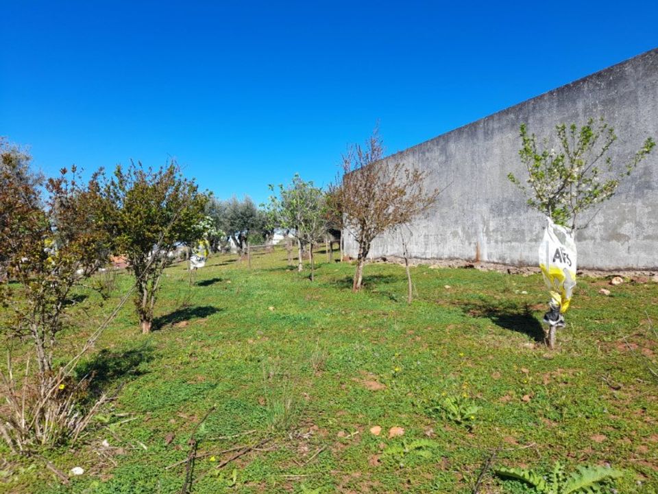 Helårsgrund i Alandroal, Evora - foto 4