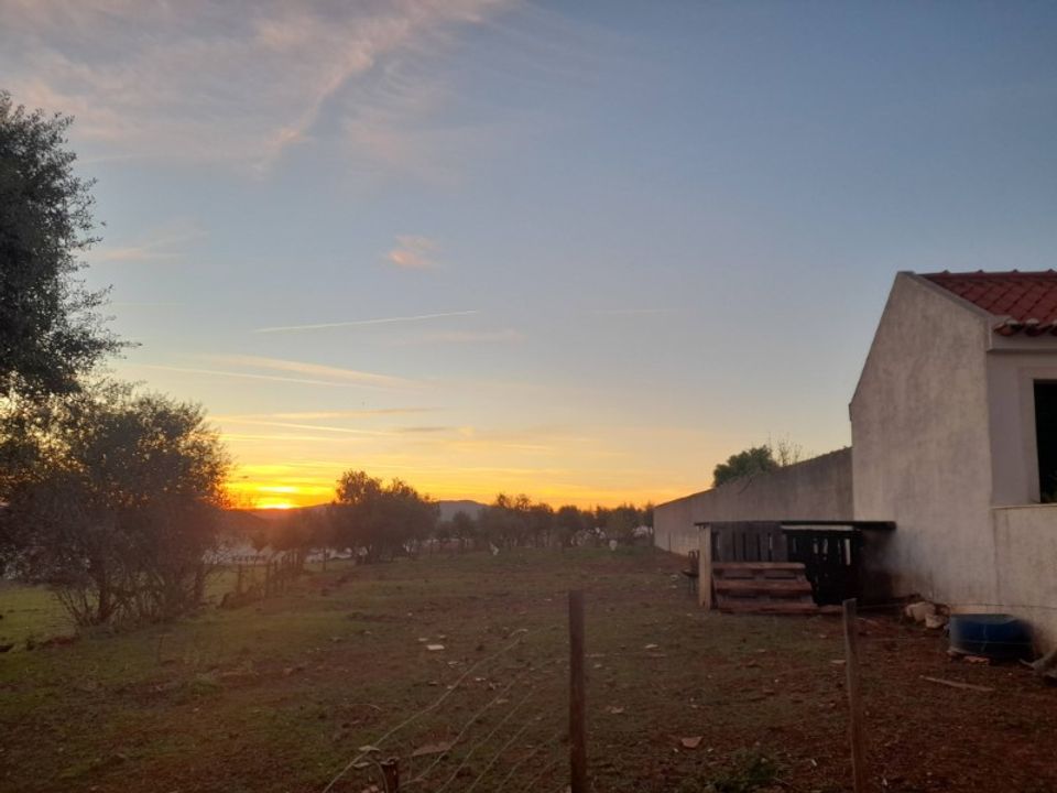 Helårsgrund i Alandroal, Evora - foto 5