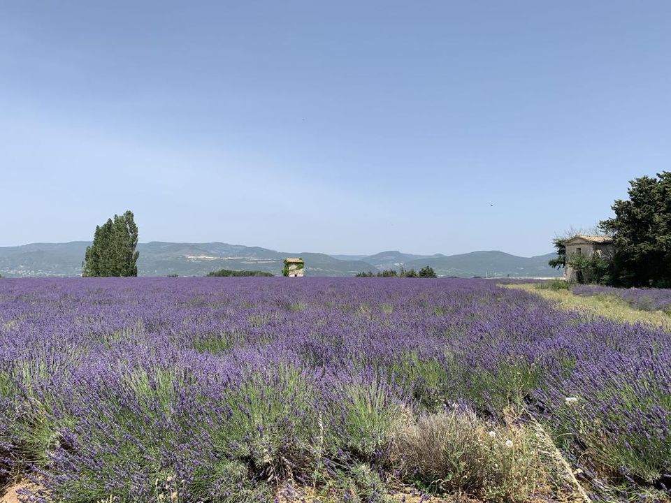 Helårsgrund i Montelimar, Drome - foto 1