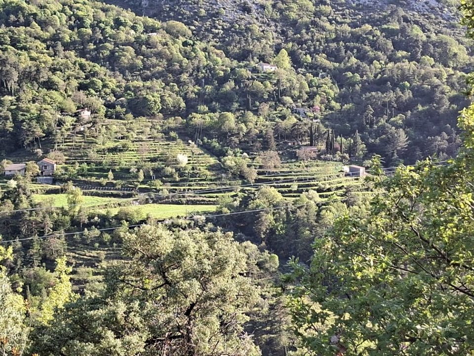 Helårsgrund i Peille, Alpes-Maritimes - foto 1