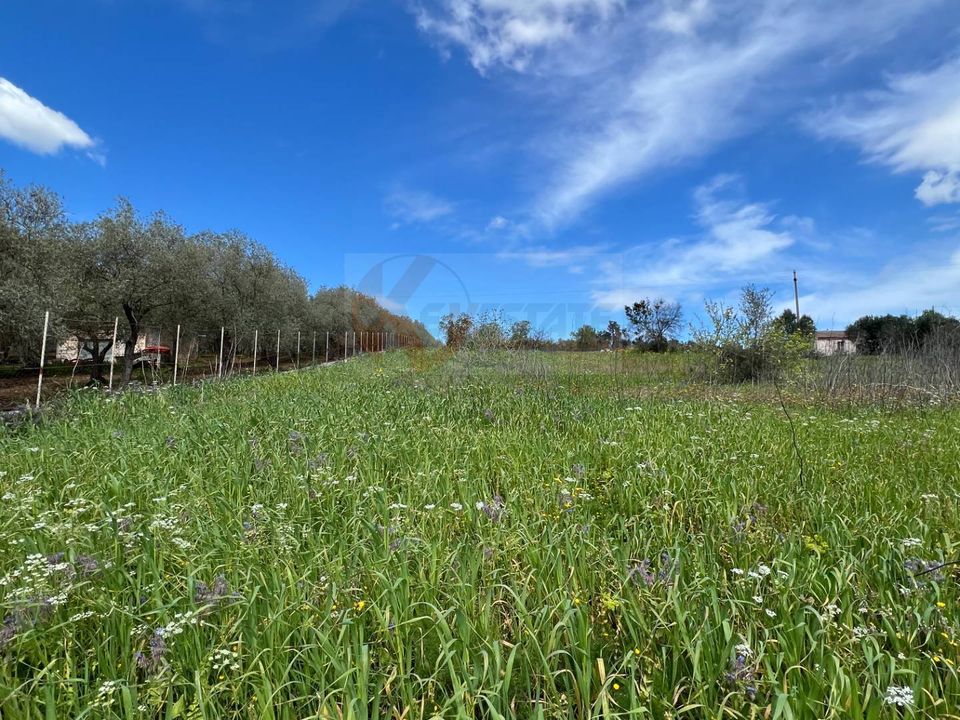 Helårsgrund i Sassari, Sassari - foto 5