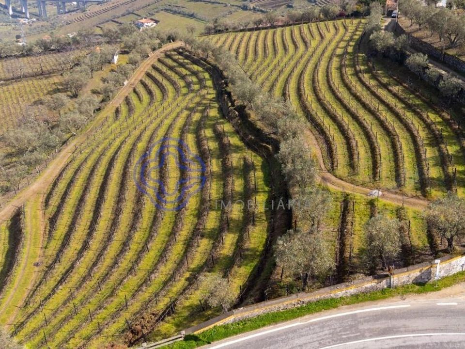 Helårsgrund i Lamego, Viseu - foto 2