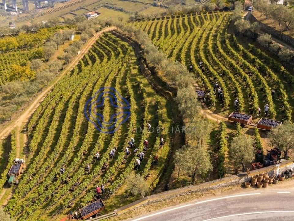 Helårsgrund i Lamego, Viseu - foto 3