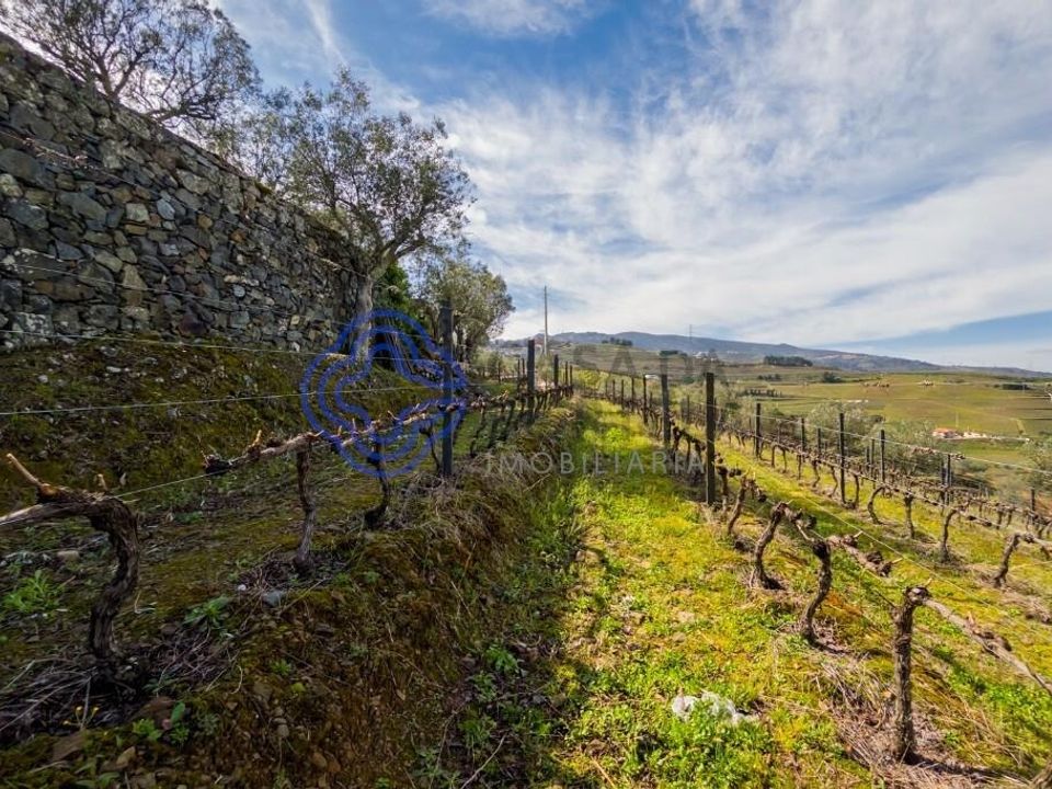 Helårsgrund i Lamego, Viseu - foto 1
