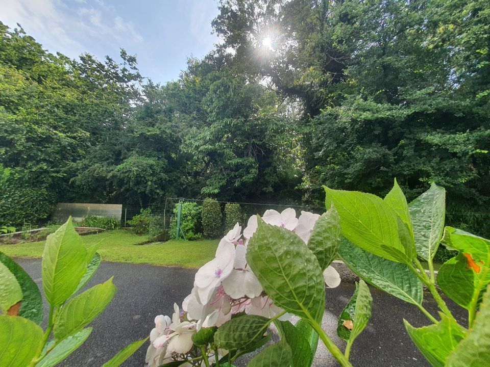 Apartament a Reze, Loire-Atlantique - foto 2