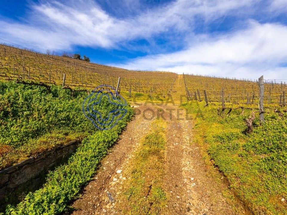 Helårsgrund i Lamego, Viseu - foto 3