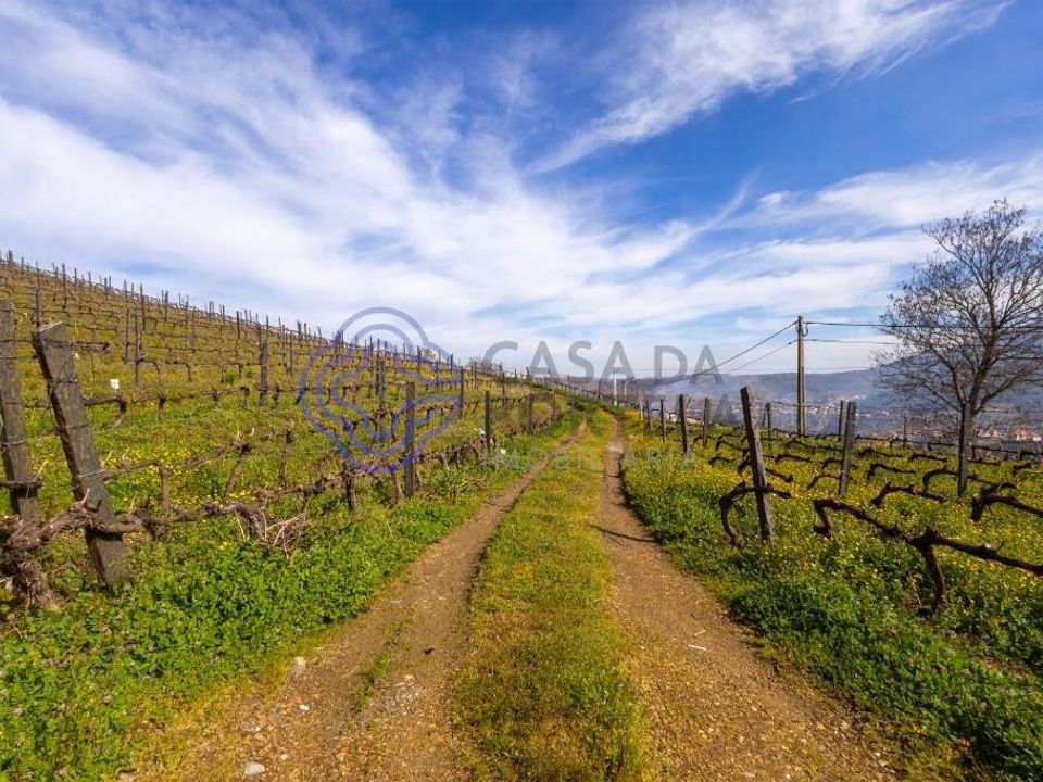 Helårsgrund i Lamego, Viseu - foto 5