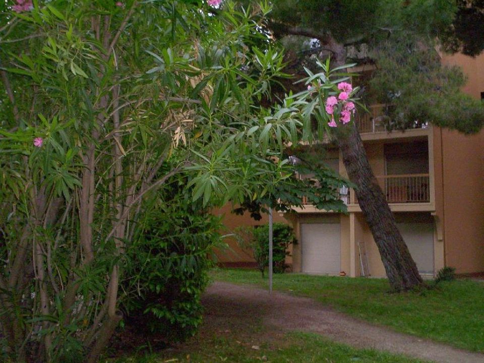 Studio i Avignon, Vaucluse - foto 2