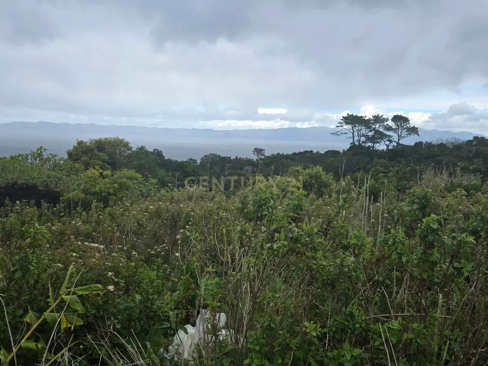 Helårsgrund i Santo Antonio, Pico - foto 1