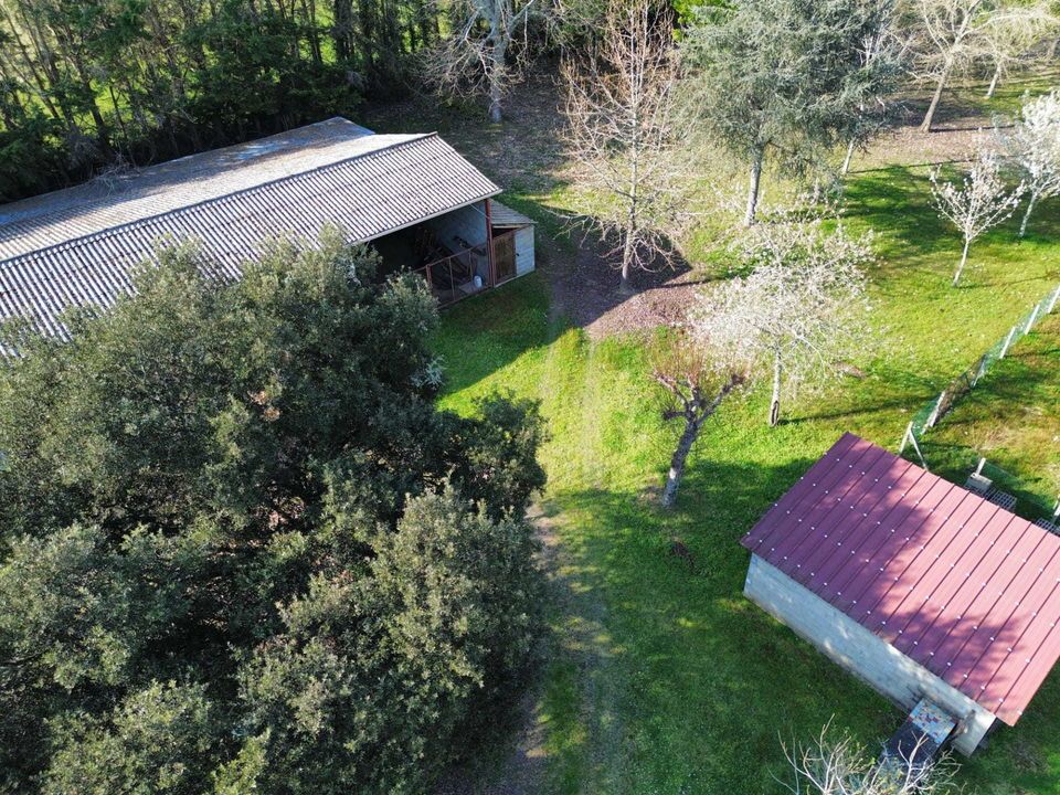 Villa i Saint Justin, Landes - foto 3