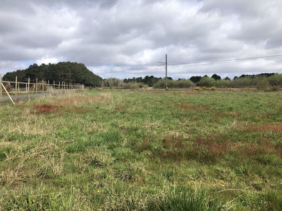Helårsgrund i Queyrac, Gironde - foto 1