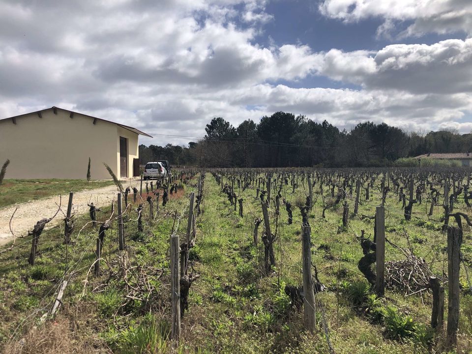 Helårsgrund i Queyrac, Gironde - foto 2