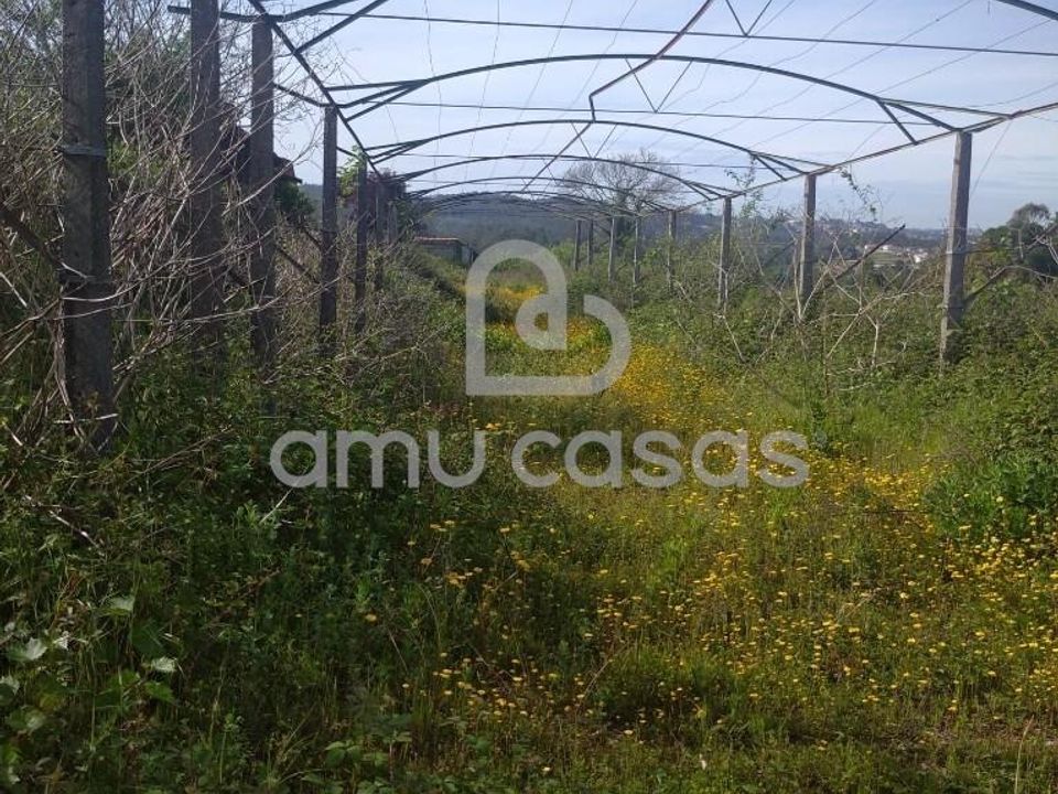 Helårsgrund i Oliveira de Azemeis, Aveiro - foto 3